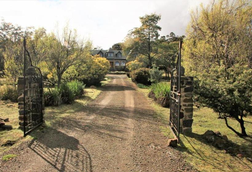 ベッドアンドブレックファースト The Great House Bnb