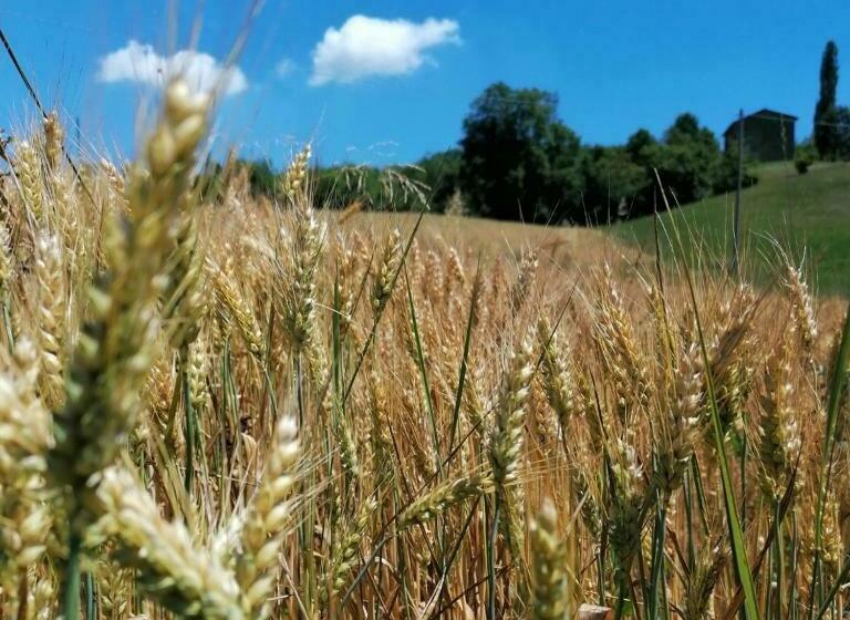 فندق Az. Agr. Agriturismo Nonna Nella