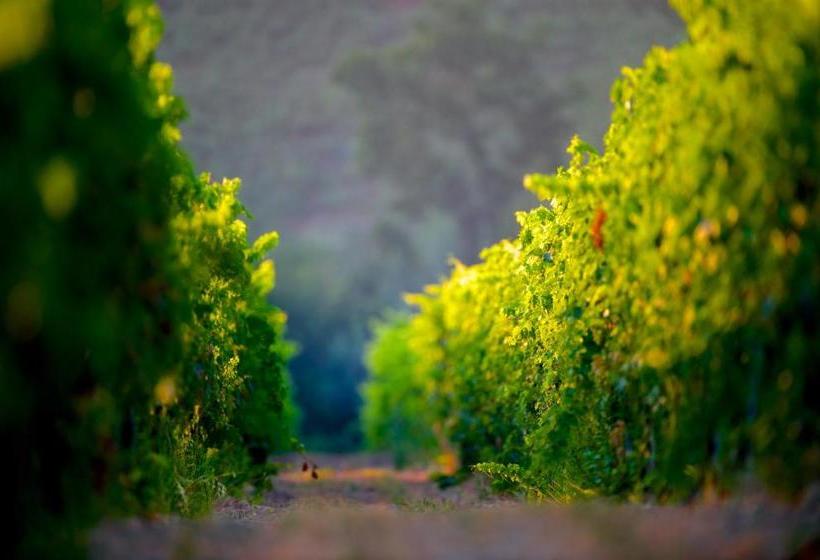 فندق Borgo Baccile By Vini Fantini