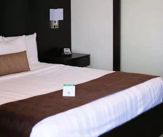 Motelli Boarders Inn & Suites By Cobblestone Hotels   Syracuse