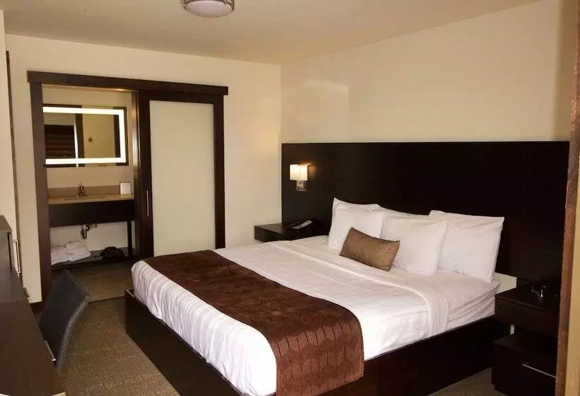 Motelli Boarders Inn & Suites By Cobblestone Hotels   Syracuse