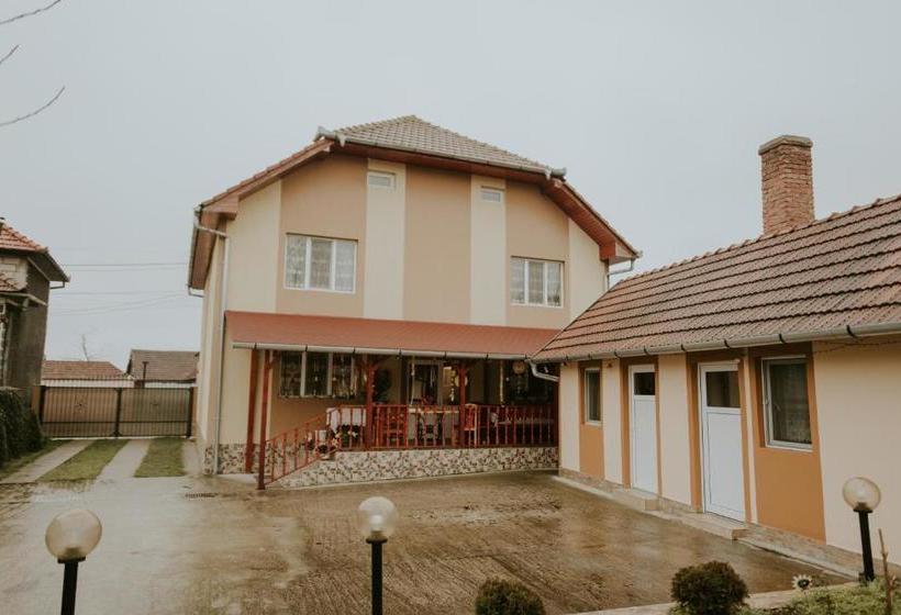 Пансион Casa Otilia