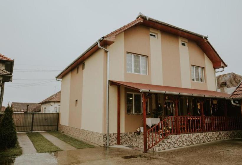 Пансион Casa Otilia