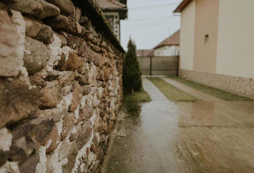 Пансион Casa Otilia