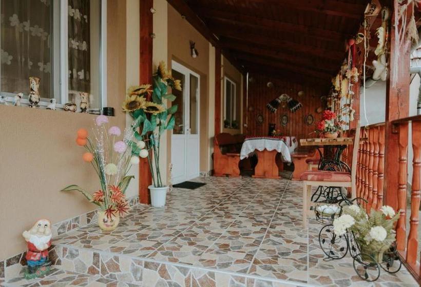 Пансион Casa Otilia