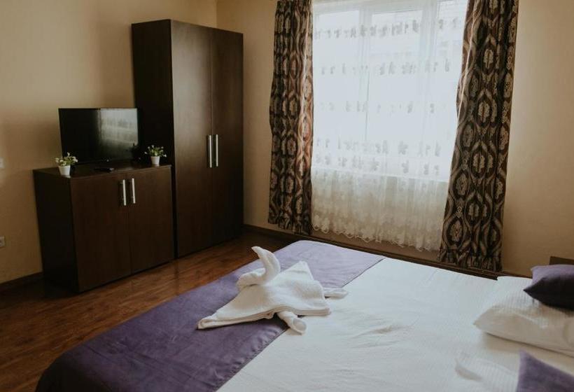 Пансион Casa Otilia