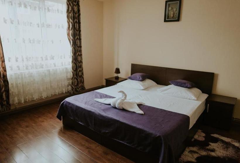 Пансион Casa Otilia