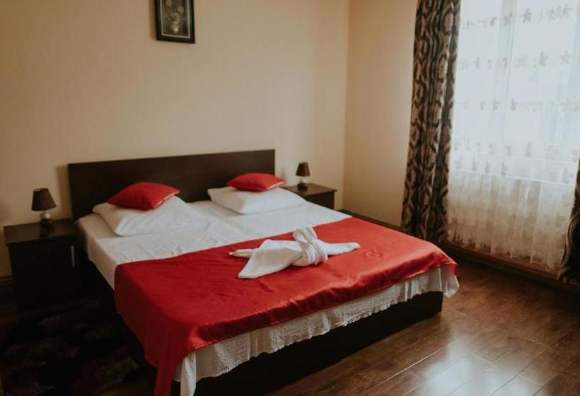 Пансион Casa Otilia