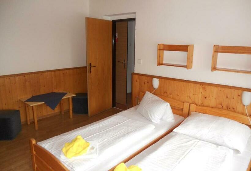 ペンション Penzion Kamzík