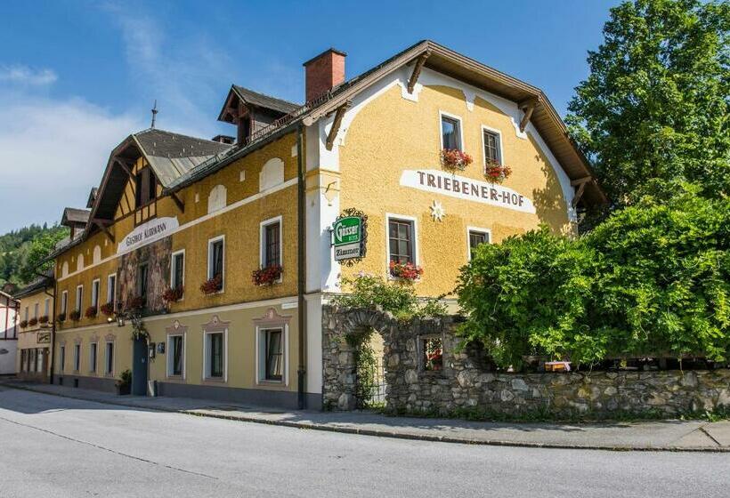 بنسيون Triebenerhof