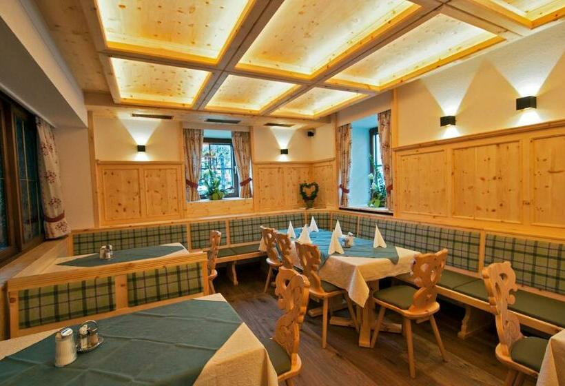 بنسيون Triebenerhof