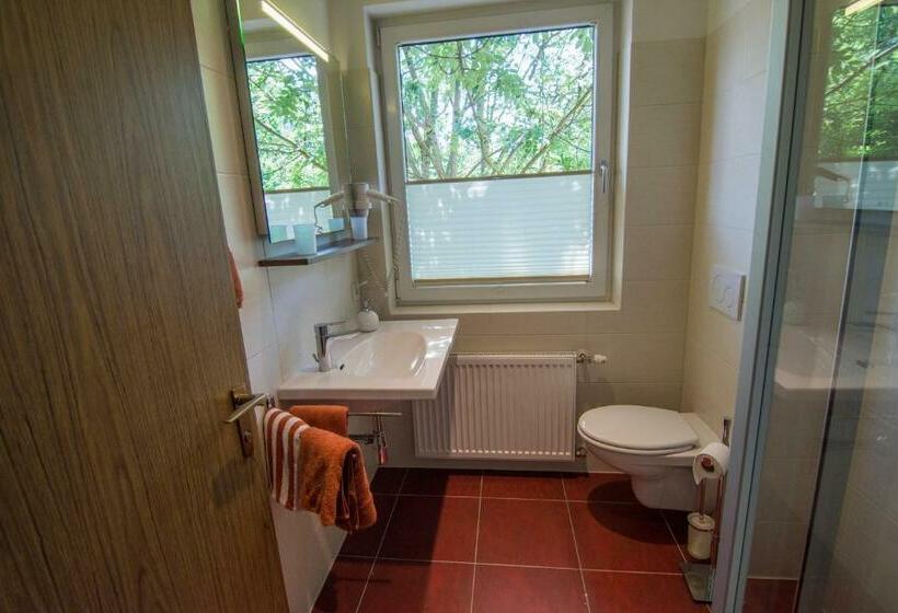 بنسيون Triebenerhof