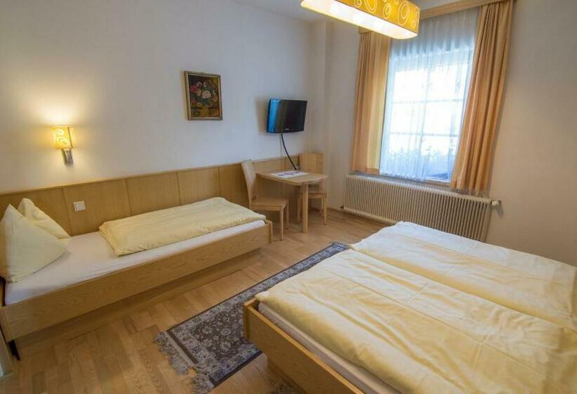 بنسيون Triebenerhof