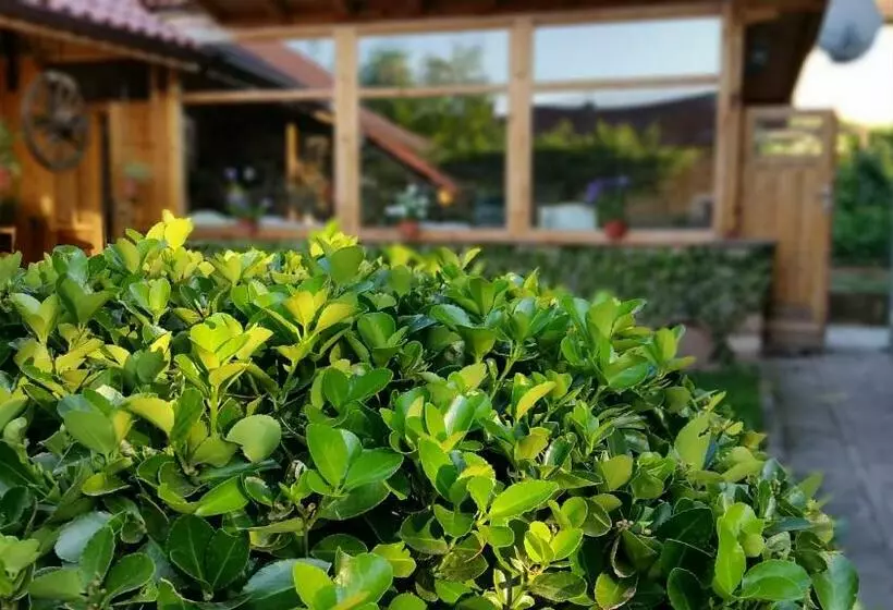 Majatalo къща за гости йонкин вършец