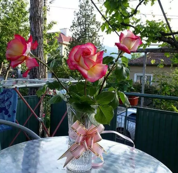 Majatalo къща за гости йонкин вършец