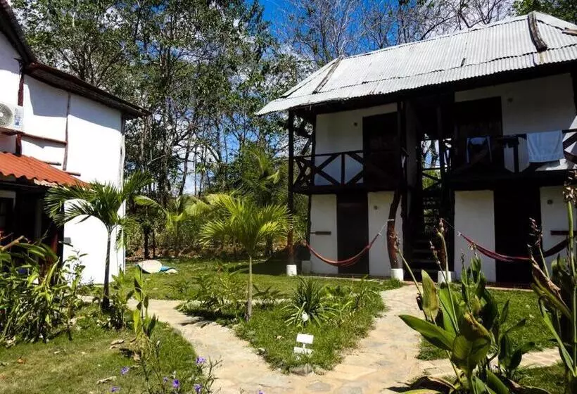 ユースホステル La Choza Playa Venao