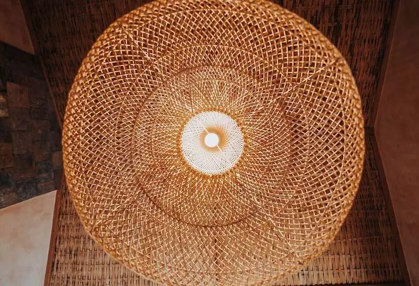 ユースホステル Pousada Rancho Das Dunas