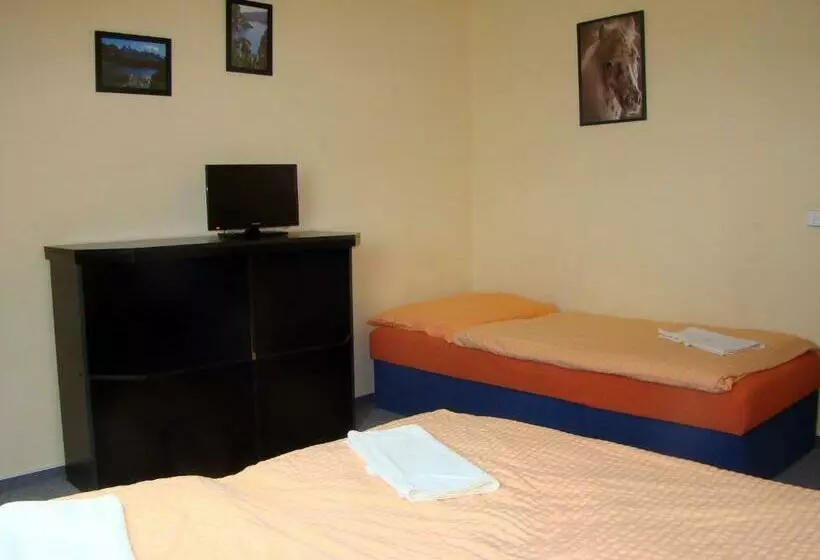 ユースホステル Restaurace Penzion Rafael