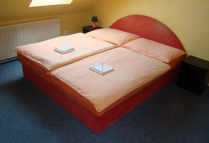 ユースホステル Restaurace Penzion Rafael