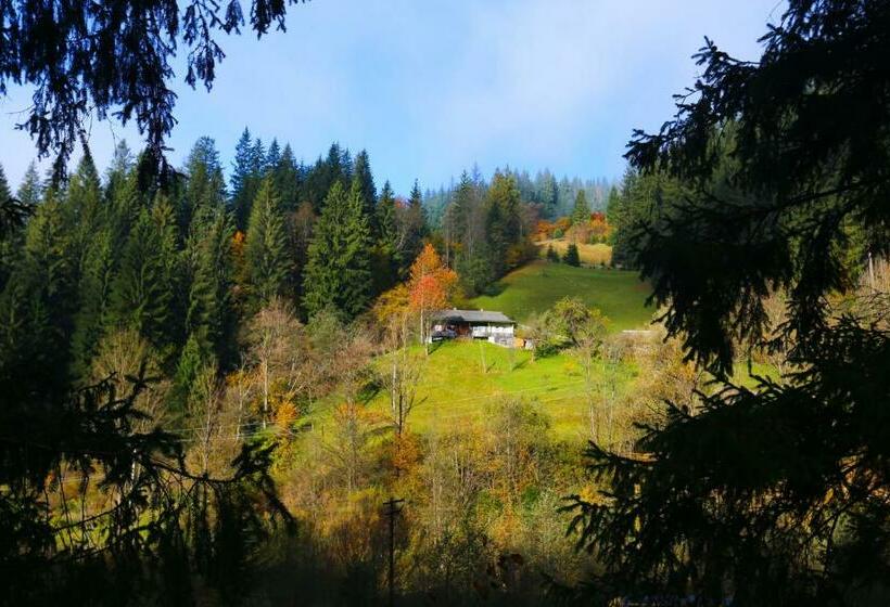 Общежитие Sadyba Lisova Kvitka