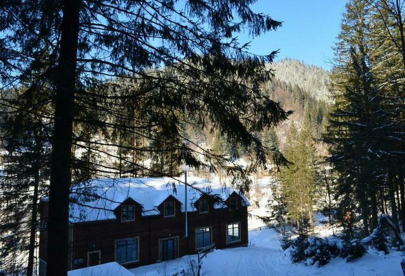 Общежитие Sadyba Lisova Kvitka