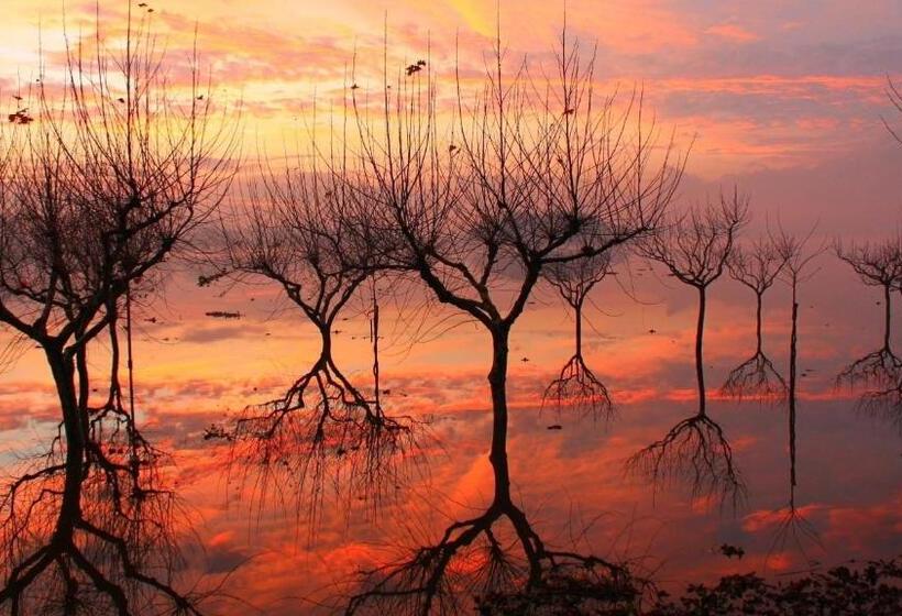 Bed and Breakfast Fkoka