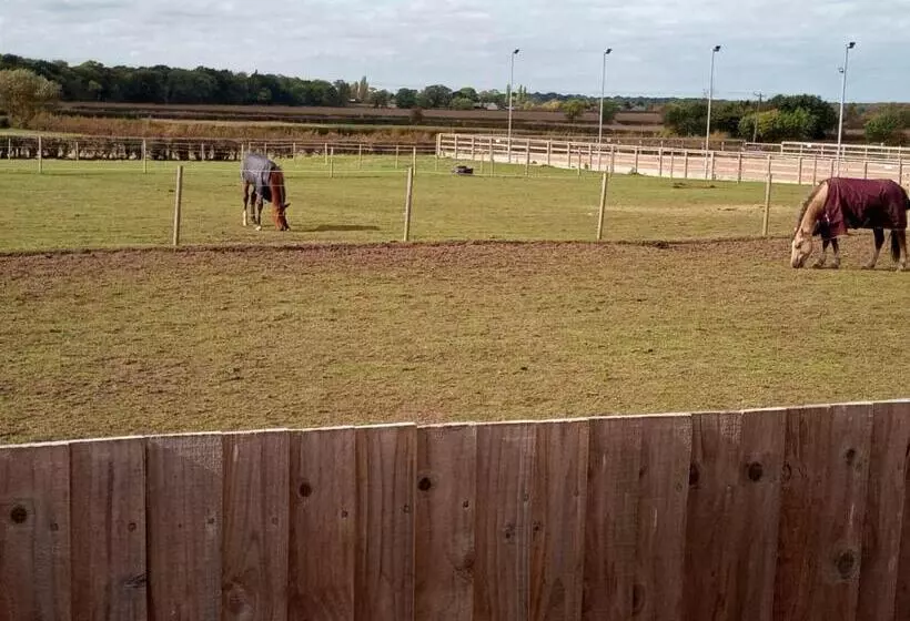 ベッドアンドブレックファースト Fox And Hounds Country Inn