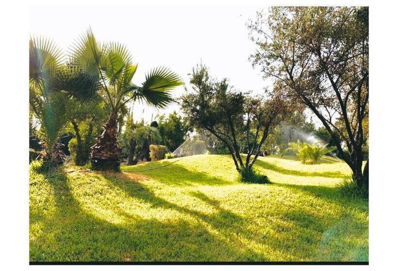 مبيت وإفطار Ourika Camp Marrakech