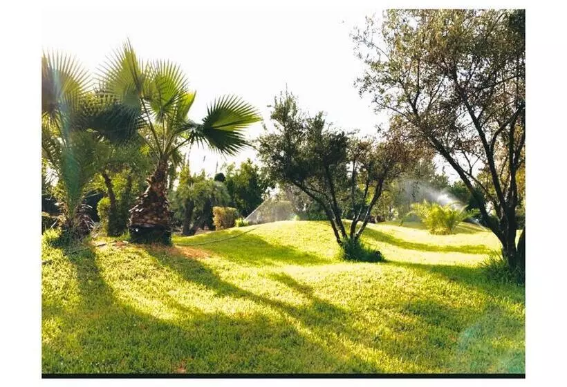 Aamiaismajoitus (B&B) Ourika Camp Marrakech