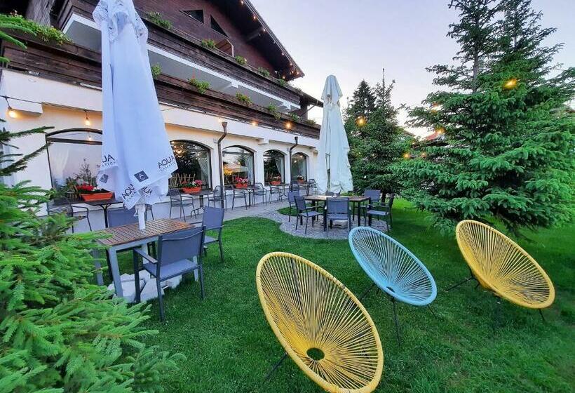 فندق Pensiune & Restaurant Victoria