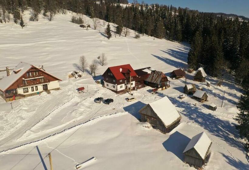 호텔 Pensiunea Scarisoara