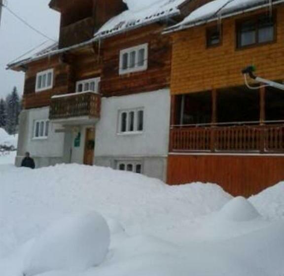 호텔 Pensiunea Scarisoara