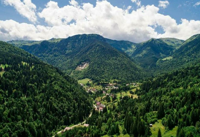 هتل Roman Maramures Ski & Spa Resort