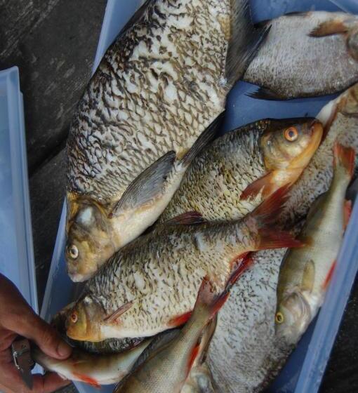 Kuhasensaari Lomakeskus