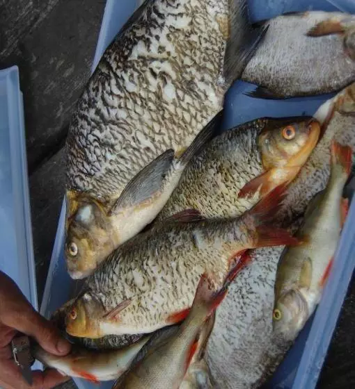 Kuhasensaari Lomakeskus