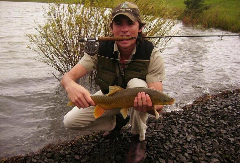 بنسيون Berghouse And Cottages