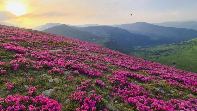 Pensão Complex Veverița Rânca