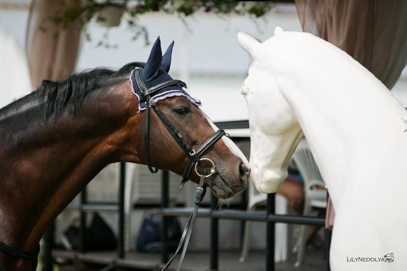 بنسيون Dergachov Guest House