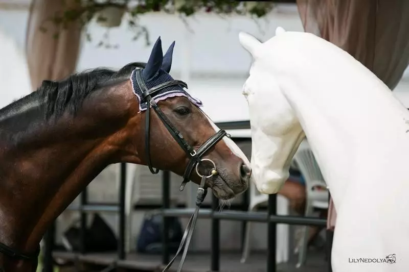 Majatalo Dergachov Guest House