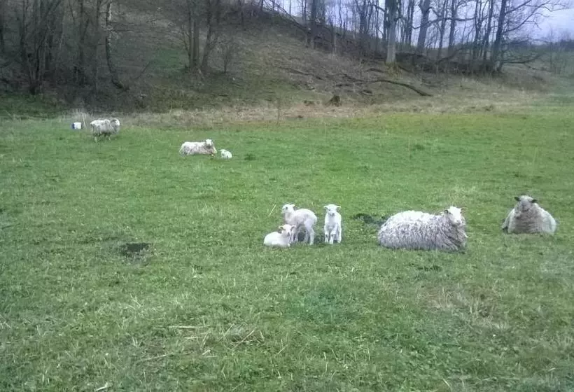 Majatalo Kralicka Chata