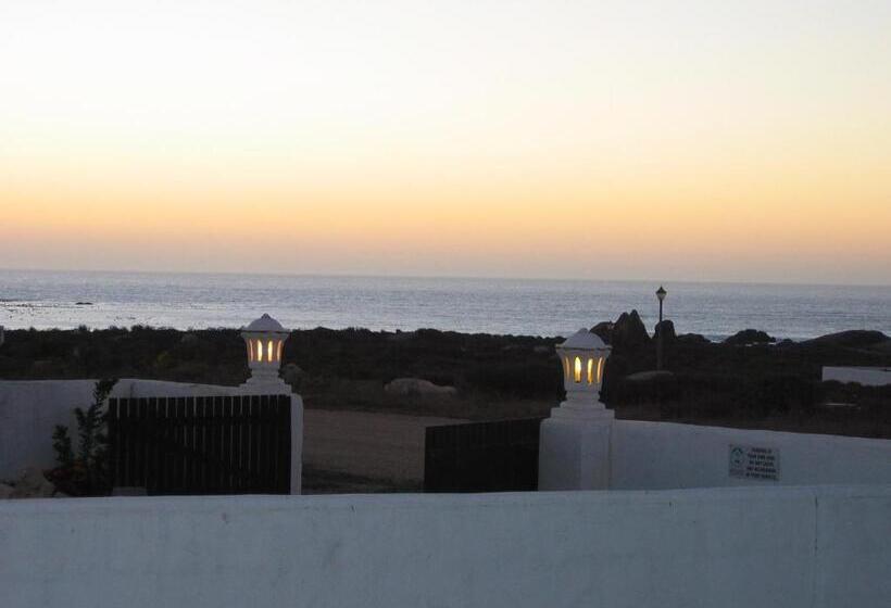 بنسيون Whispering Whale