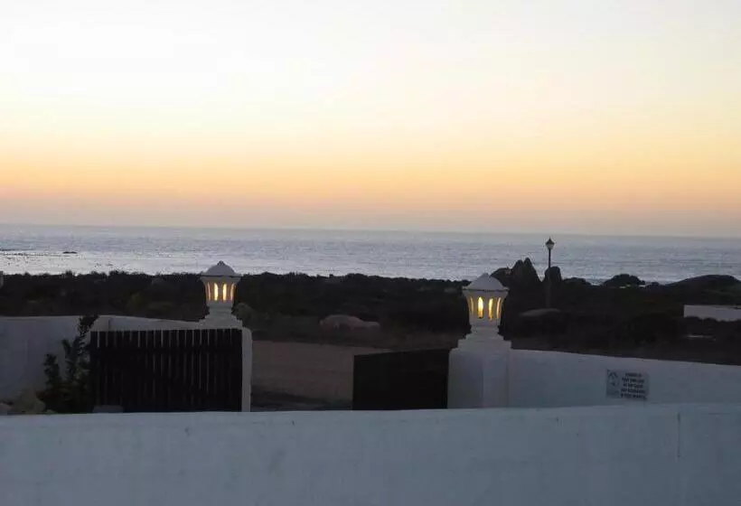 Majatalo Whispering Whale