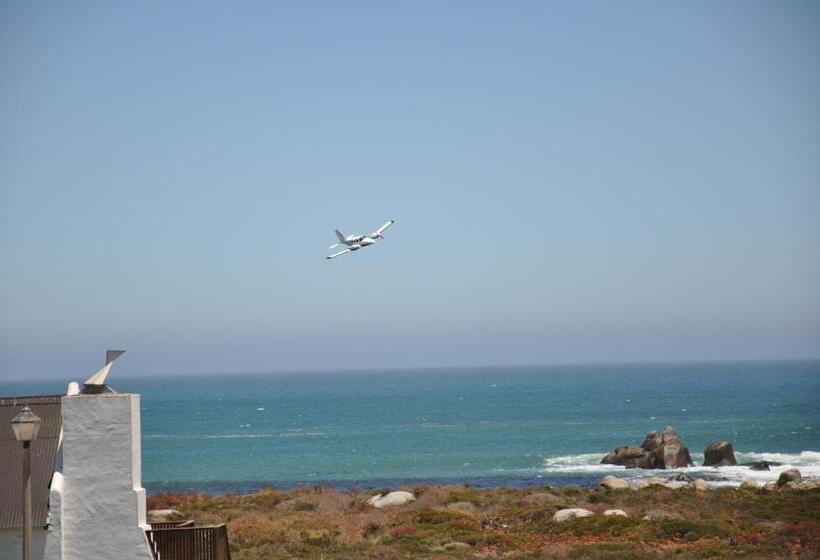 بنسيون Whispering Whale