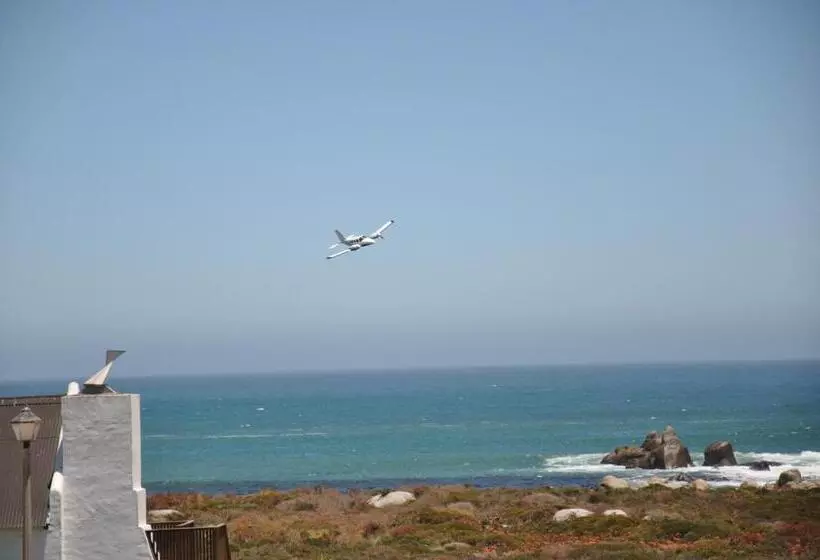 Majatalo Whispering Whale