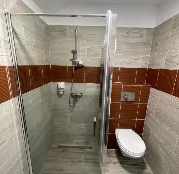 Pensiunea Vis Alpin Belis