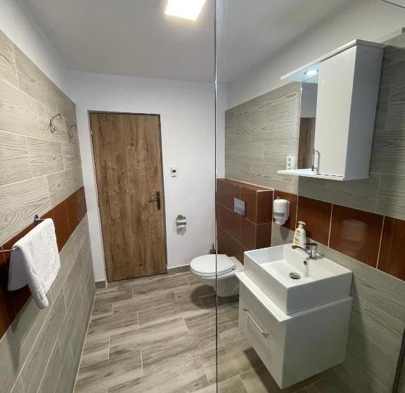 Pensiunea Vis Alpin Belis