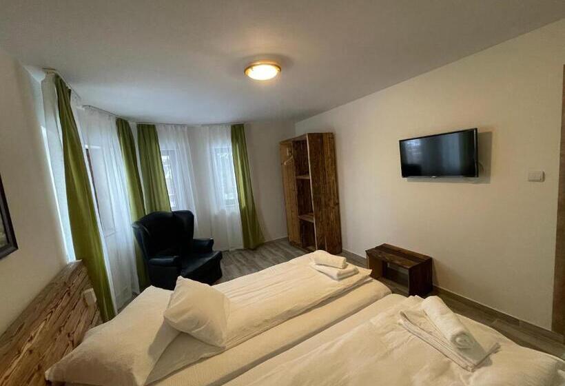 Pensiunea Vis Alpin Belis