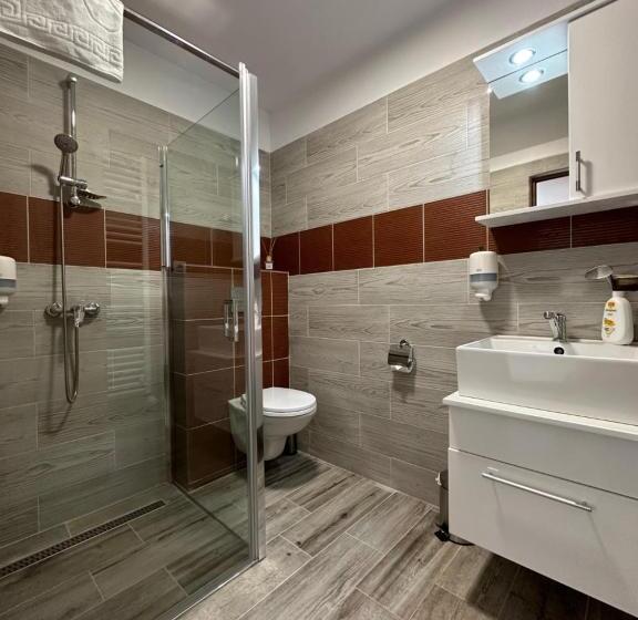 Pensiunea Vis Alpin Belis