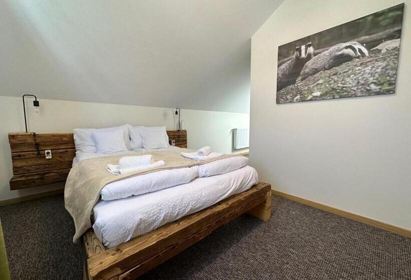 Pensiunea Vis Alpin Belis