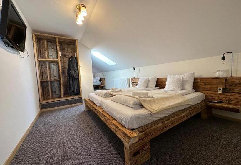 Pensiunea Vis Alpin Belis